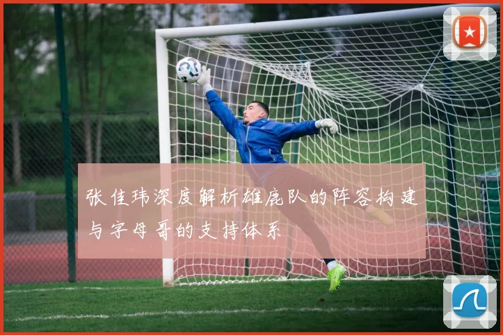 张佳玮深度解析雄鹿队的阵容构建与字母哥的支持体系