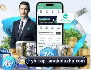 篮球赌注 APP 深度功能